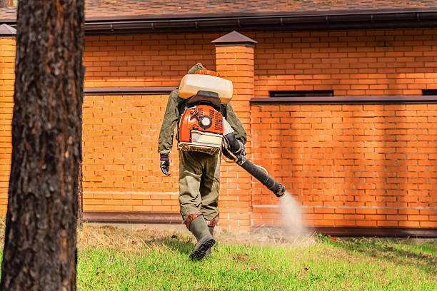 Bed Bug Clearance Verification and Documentation in Middleburg